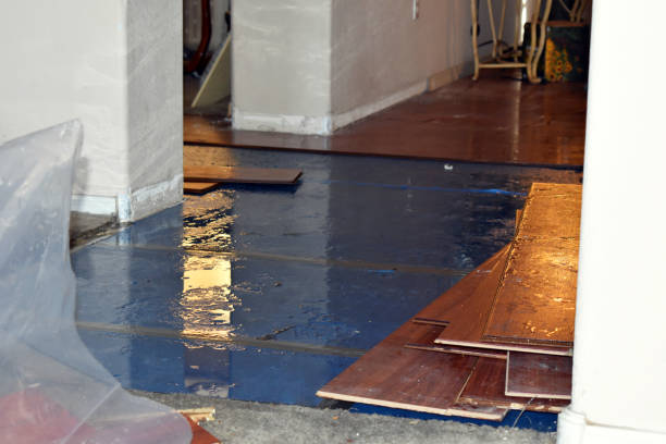 Professional Burst Pipe Water Damage technician working in Dracut, MA